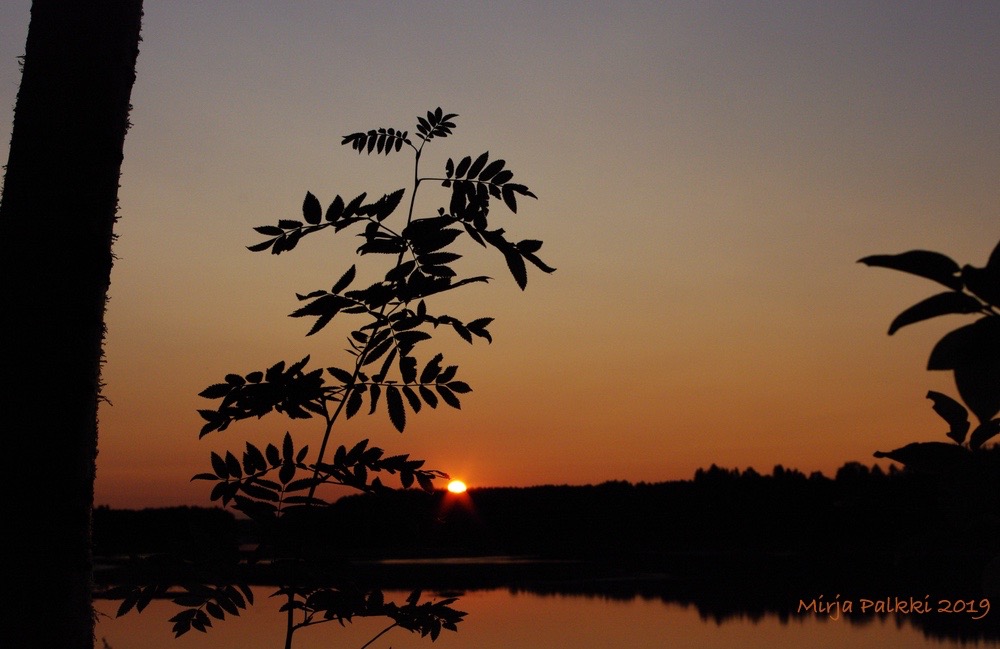 Aurinko laskee - Sunset